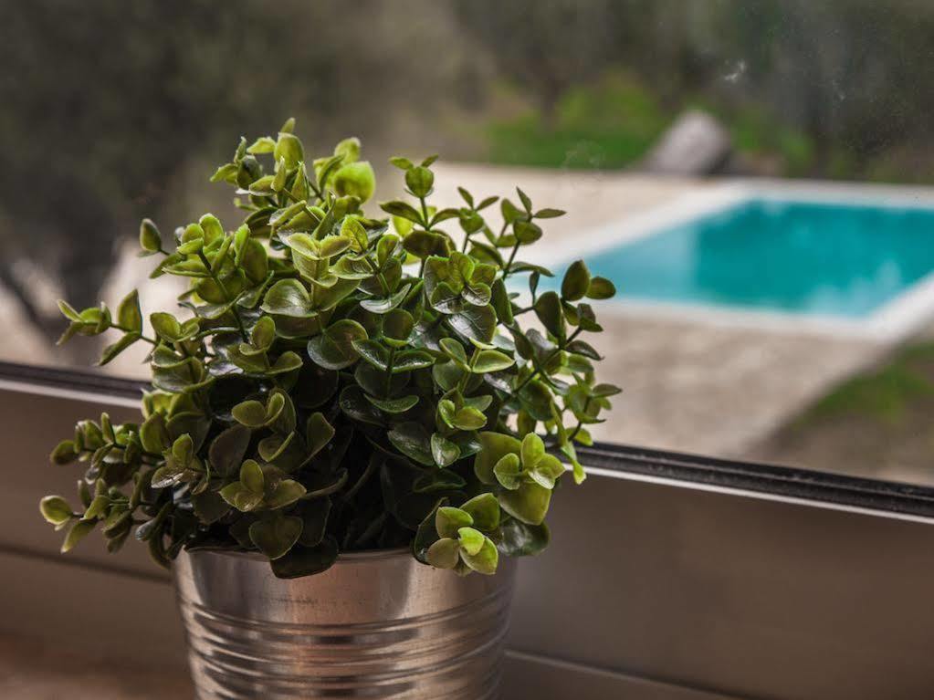 Abelia Luxurious Villas Φοινικούντα Εξωτερικό φωτογραφία