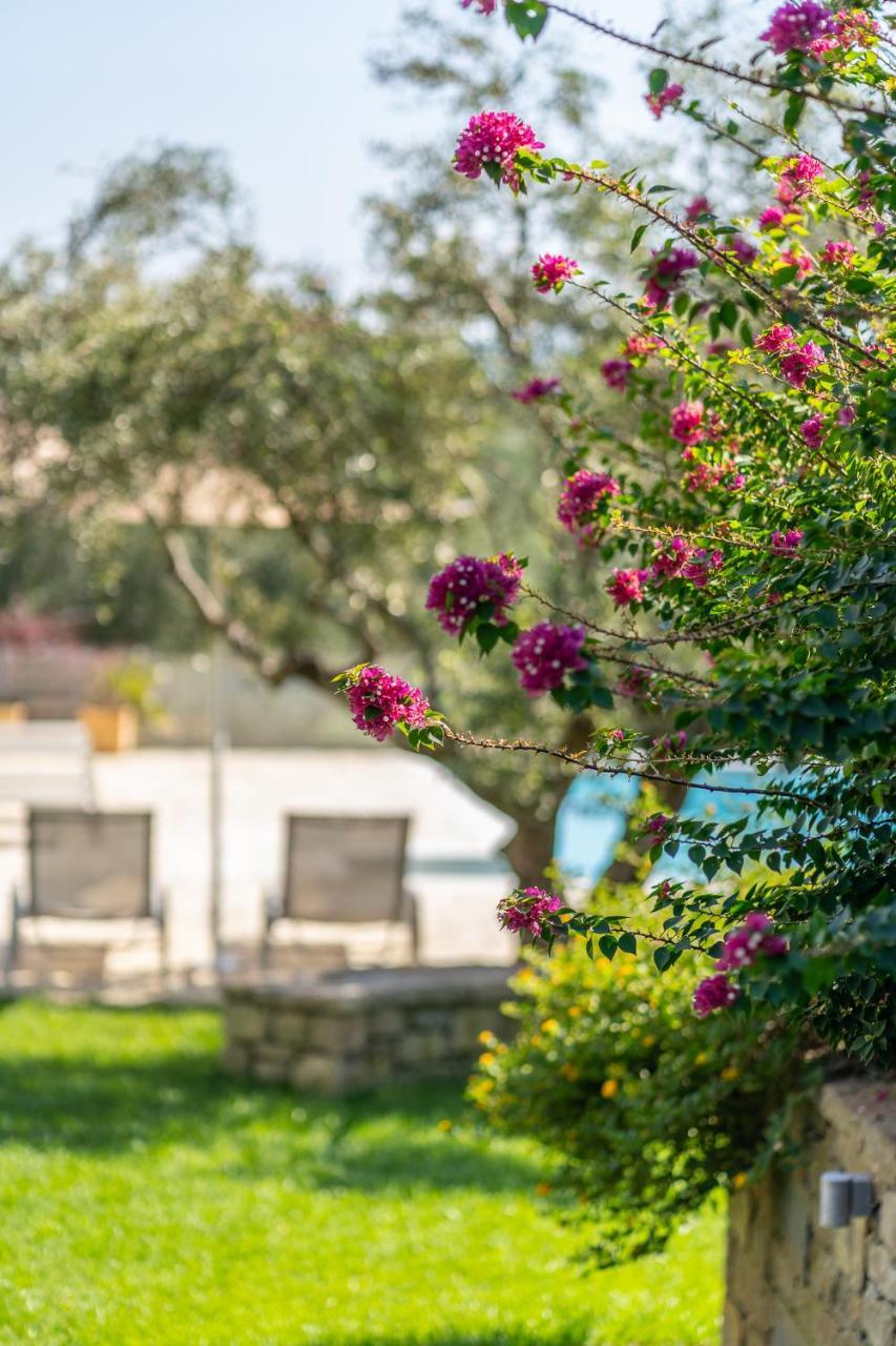 Abelia Luxurious Villas Φοινικούντα Εξωτερικό φωτογραφία